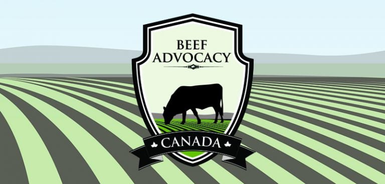 Beef Advocacy launches social media modules - Canadian Beef Cattle ...